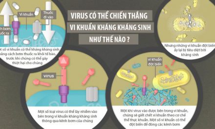 Chữa khỏi một ca kháng kháng sinh vô phương cứu chữa tại Mỹ bằng 100 triệu con virus