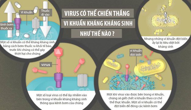 Chữa khỏi một ca kháng kháng sinh vô phương cứu chữa tại Mỹ bằng 100 triệu con virus