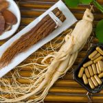 Những hiểu biết về Sâm Châu Á (Panax Ginseng)