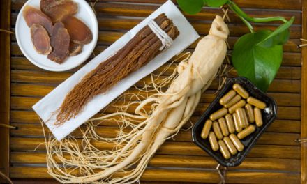 Những hiểu biết về Sâm Châu Á (Panax Ginseng)