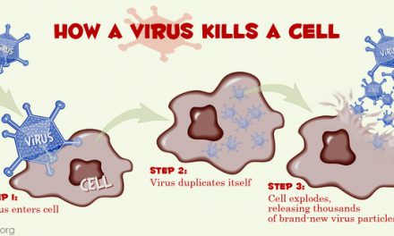 Vì sao kháng sinh chỉ diệt được vi khuẩn mà không diệt được virus?