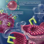 Nước súc miệng chứa Chlorhexidine có tốt không? Có nên dùng thường xuyên?