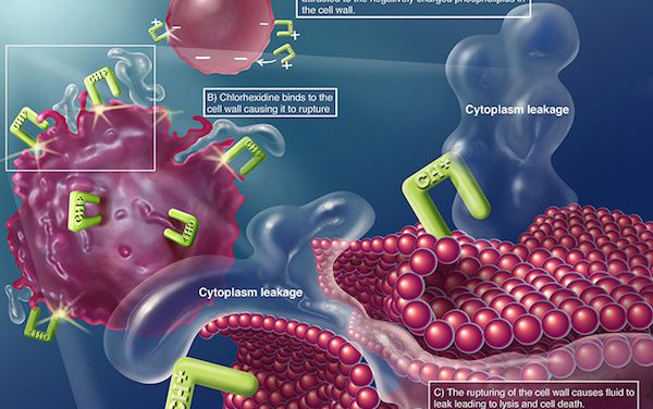 Nước súc miệng chứa Chlorhexidine có tốt không? Có nên dùng thường xuyên?